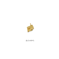 Charm Charms in Argento CS1007-AG